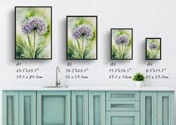 watercolour botanical print flowers allium nigrum print size comparison