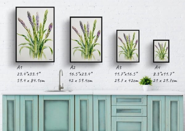 watercolour botanical print flowers asparagus officinalis gijnlim minimalist print size comparison