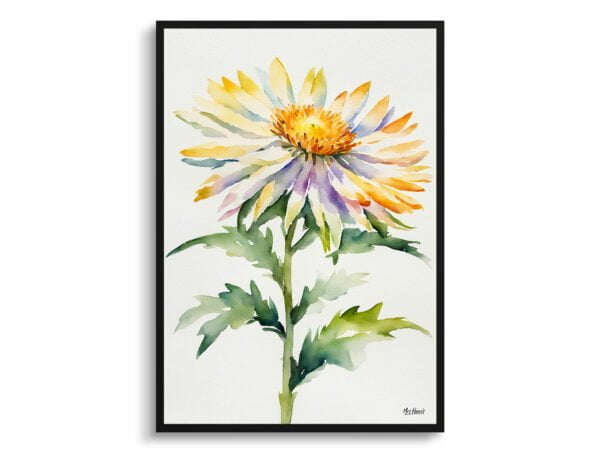 watercolour botanical print flowers aster minimalist front view