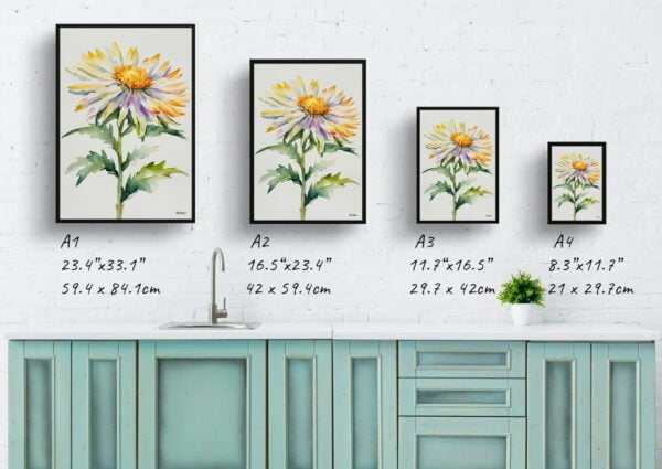 watercolour botanical print flowers aster minimalist print size comparison