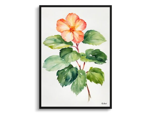 watercolour botanical print flowers begonia minimalist front view