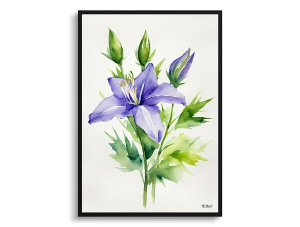 watercolour botanical print flowers bellflower minimalist front view