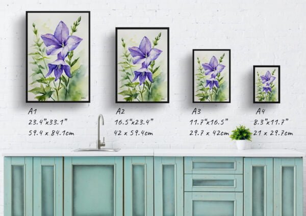 watercolour botanical print flowers bellflower print size comparison