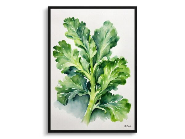 watercolour botanical print flowers brassica oleracea var gemmifera rubine minimalist front view