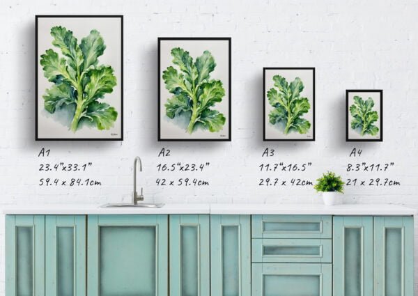 watercolour botanical print flowers brassica oleracea var gemmifera rubine minimalist print size comparison