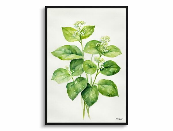 watercolour botanical print flowers brunnera macrophylla betty bowring boraginaceae minimalist front view