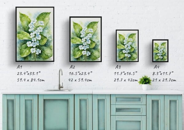 watercolour botanical print flowers brunnera macrophylla betty bowring boraginaceae print size comparison