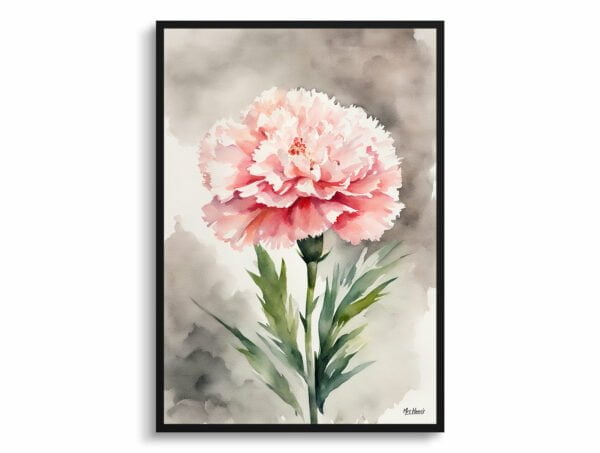 watercolour botanical print flowers carnation front view