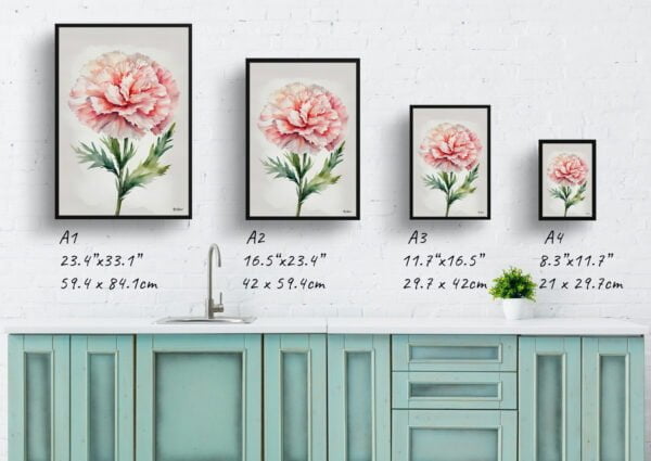 watercolour botanical print flowers carnation minimalist print size comparison