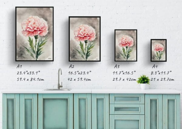 watercolour botanical print flowers carnation print size comparison