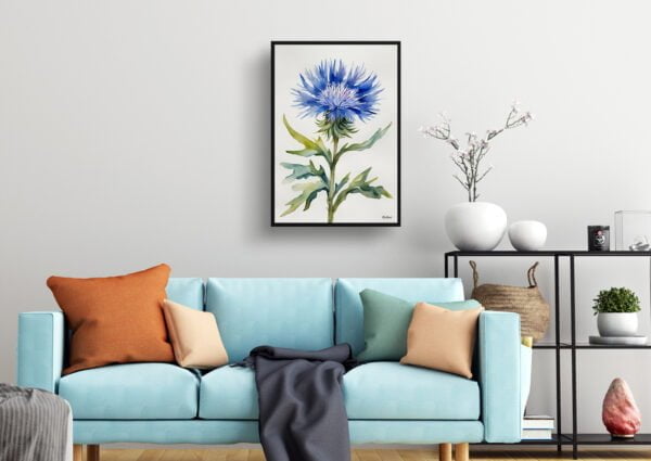 watercolour botanical print flowers centaurea cyanus blue boy minimalist living room