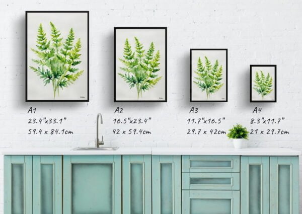 watercolour botanical print flowers cheilanthes lanosa minimalist print size comparison