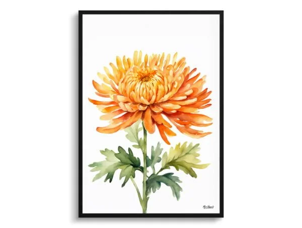 watercolour botanical print flowers chrysanthemum minimalist front view