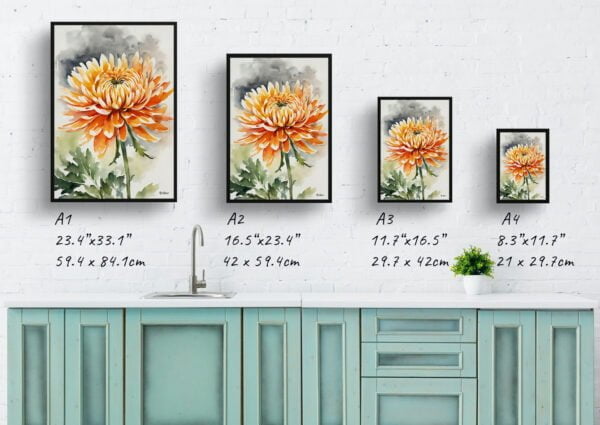 watercolour botanical print flowers chrysanthemum print size comparison