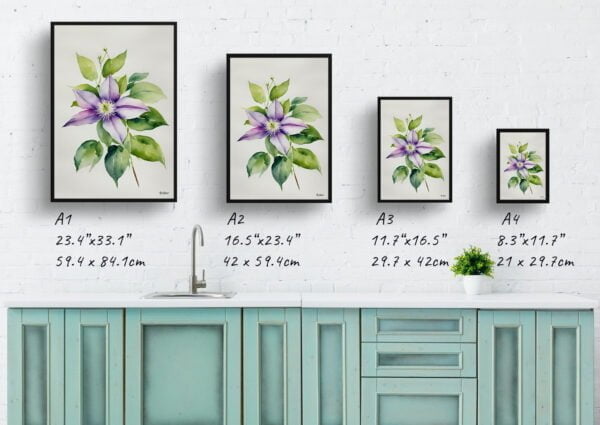 watercolour botanical print flowers clematis gravetye beauty minimalist print size comparison