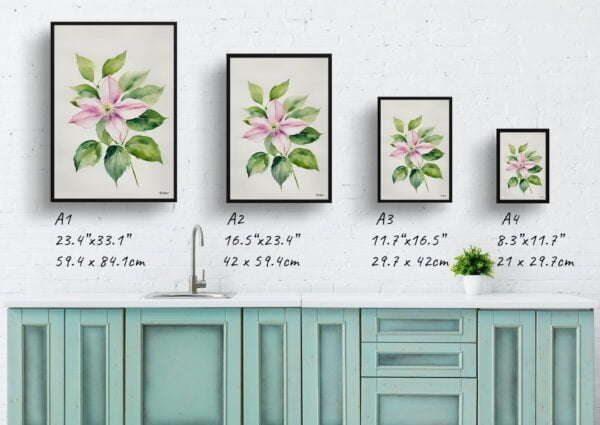 watercolour botanical print flowers clematis mayleen minimalist print size comparison