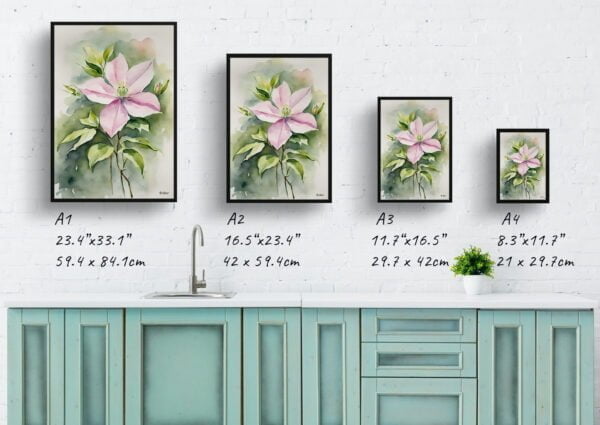 watercolour botanical print flowers clematis mayleen print size comparison