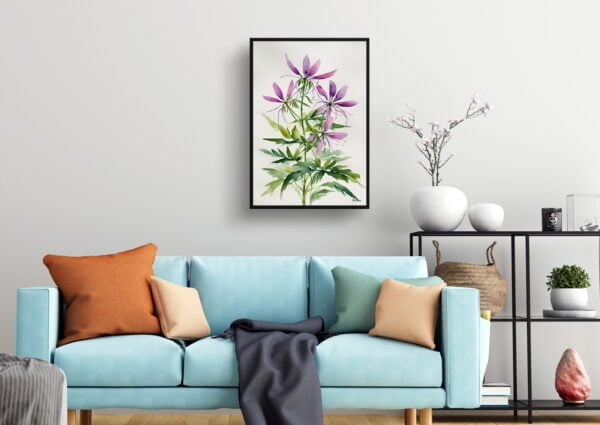 watercolour botanical print flowers cleome hassleriana violet queen minimalist living room