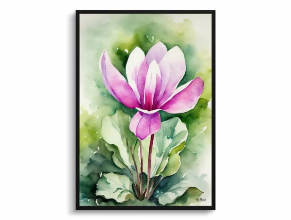 watercolour botanical print flowers cyclamen coum front view