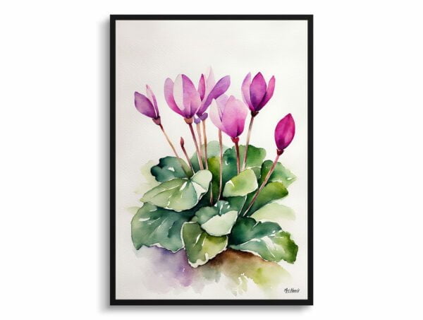 watercolour botanical print flowers cyclamen coum minimalist front view