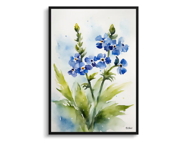 watercolour botanical print flowers cynoglossum amabile front view