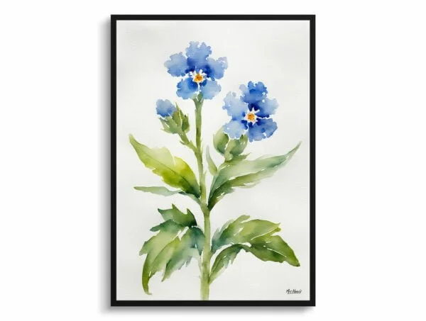 Chinese Forget-me-not Watercolour Botanical Art Print - Cynoglossum Amabile Minimalist Framed Plant Wall Art