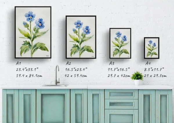 Chinese Forget-me-not Watercolour Botanical Art Print - Cynoglossum Amabile Minimalist Framed Plant Wall Art - Image 4