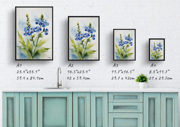 watercolour botanical print flowers cynoglossum amabile print size comparison