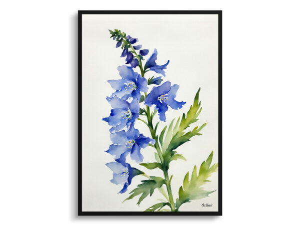 watercolour botanical print flowers delphinium cassius minimalist front view