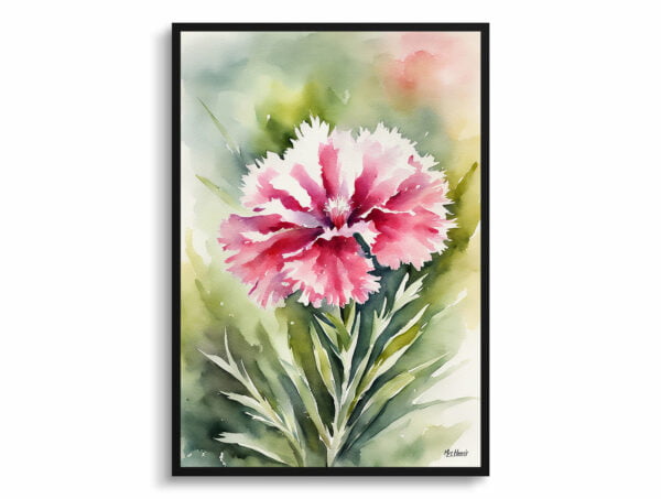 watercolour botanical print flowers dianthus devon wizard front view