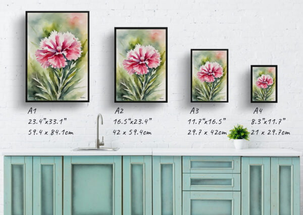 watercolour botanical print flowers dianthus devon wizard print size comparison