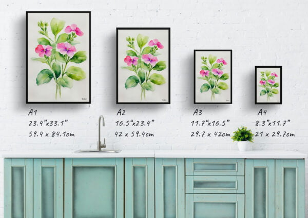 watercolour botanical print flowers diascia personata minimalist print size comparison