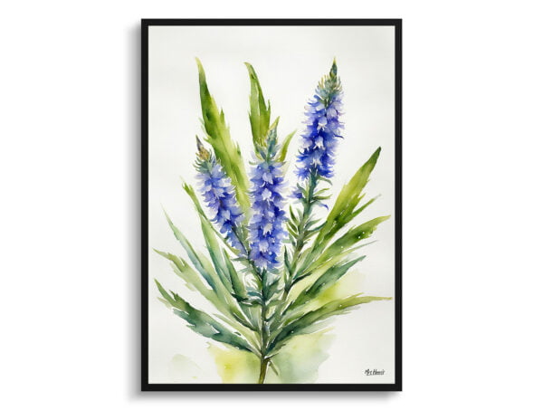 watercolour botanical print flowers echium vulgare minimalist front view