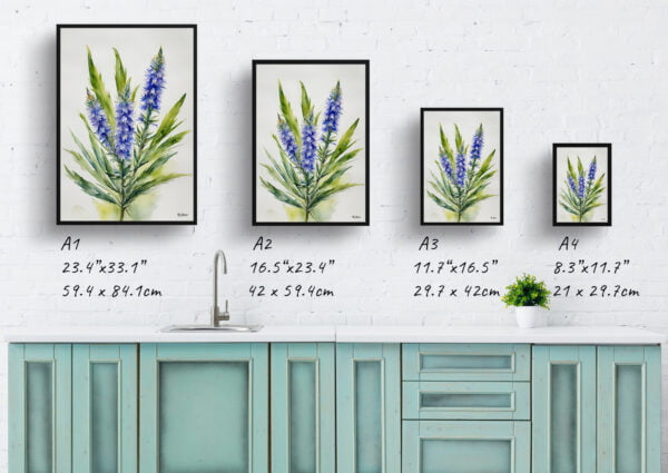 watercolour botanical print flowers echium vulgare minimalist print size comparison