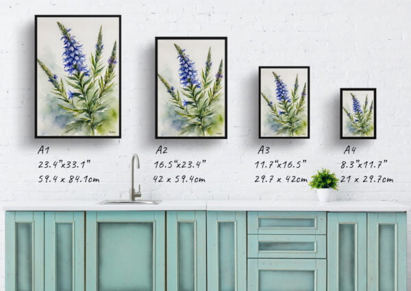 watercolour botanical print flowers echium vulgare print size comparison