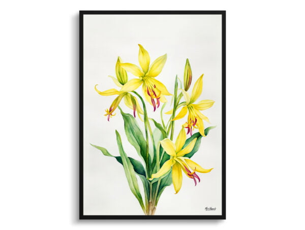 watercolour botanical print flowers erythronium pagoda minimalist front view