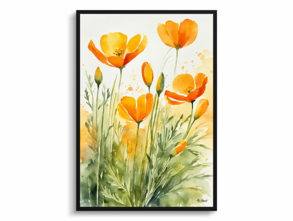 watercolour botanical print flowers eschscholzia californica front view