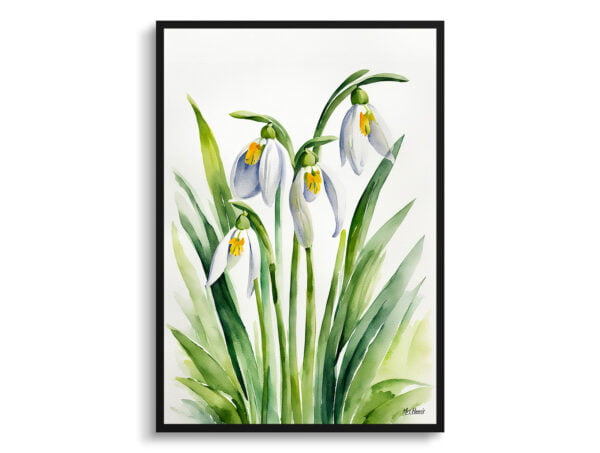 watercolour botanical print flowers galanthus elwesii minimalist front view