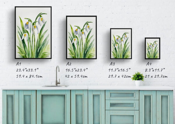 watercolour botanical print flowers galanthus elwesii minimalist print size comparison