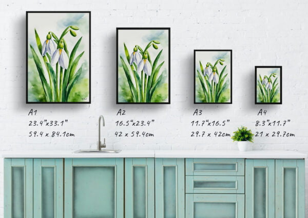 watercolour botanical print flowers galanthus elwesii print size comparison