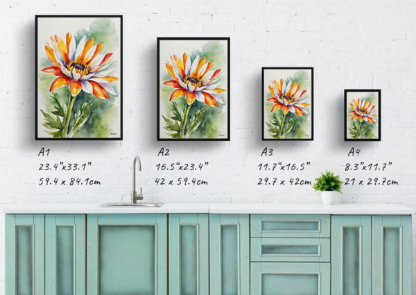 watercolour botanical print flowers gazania print size comparison