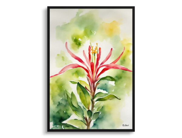 watercolour botanical print flowers honeysuckle front view