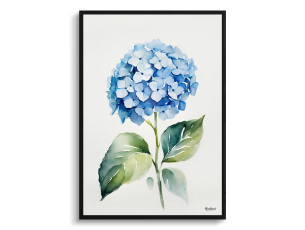 watercolour botanical print flowers hydrangea minimalist front view