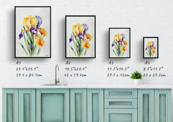 watercolour botanical print flowers iris minimalist print size comparison