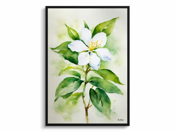 watercolour botanical print flowers jasmine front view