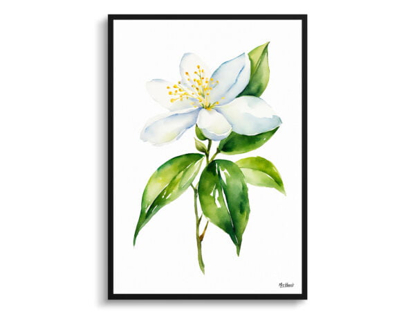 watercolour botanical print flowers jasmine minimalist front view