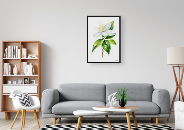 watercolour botanical print flowers jasmine minimalist office