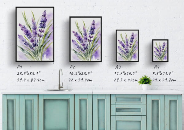 watercolour botanical print flowers lavender print size comparison