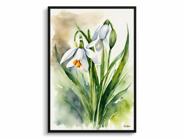 watercolour botanical print flowers leucojum aestivum gravetye giant front view