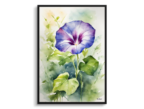 watercolour botanical print flowers morning glory front view